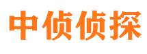 三都市调查公司